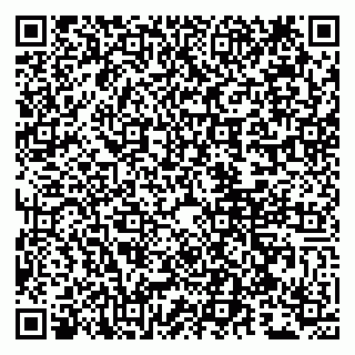 vCard 79807248731