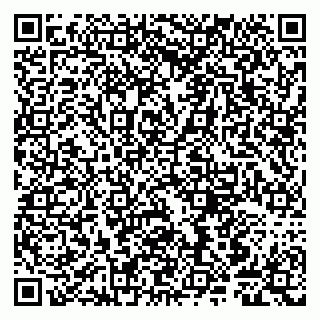 vCard 79807248733