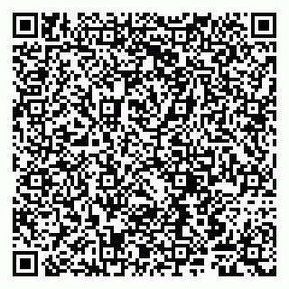 vCard 79807248999