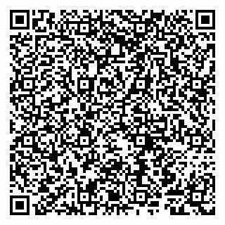 vCard 79807249003