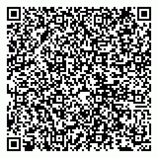 vCard 79807249020