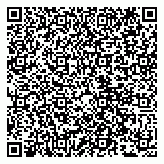 vCard 79807249029