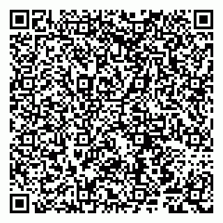 vCard 79807249031