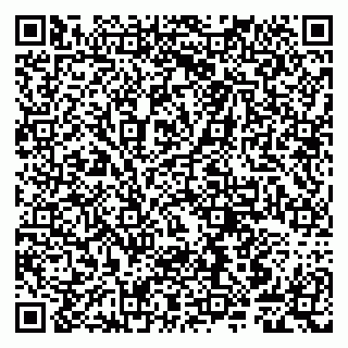 vCard 79807249032