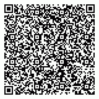 vCard 79807249037