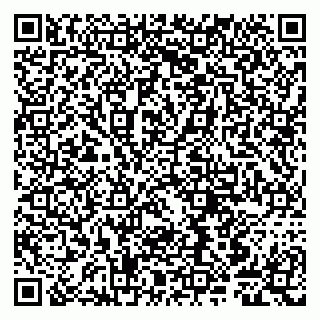 vCard 79807249087