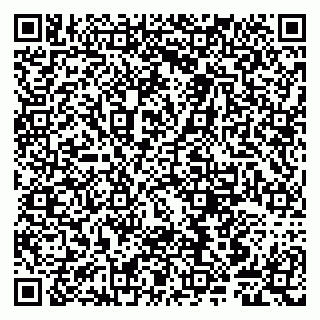 vCard 79807249133
