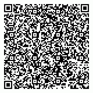 vCard 79807249173