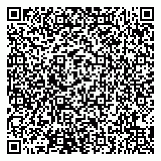 vCard 79807249295