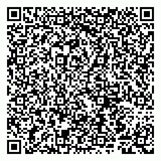 vCard 79807249332