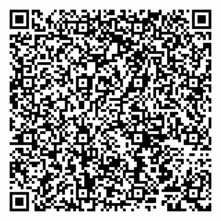vCard 79807249379