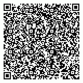 vCard 79807250093