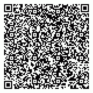 vCard 79807250131