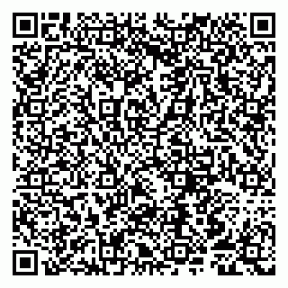 vCard 79807250133