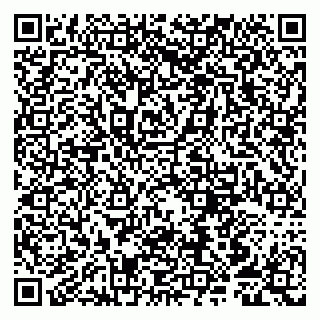 vCard 79807250137