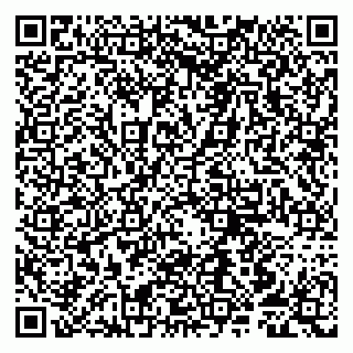 vCard 79807250205