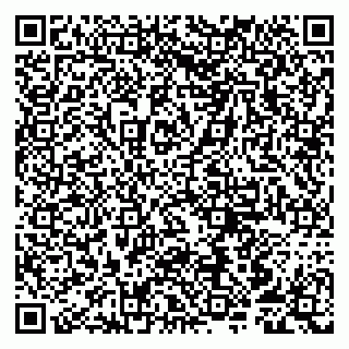 vCard 79807250209
