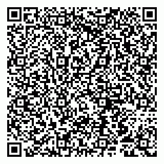 vCard 79807250211