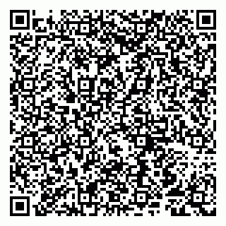 vCard 79807250260