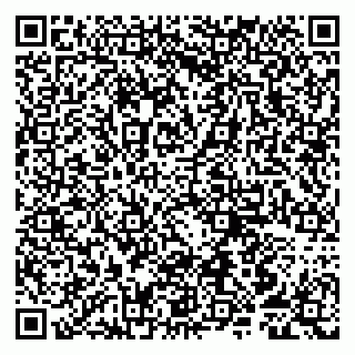vCard 79807250272