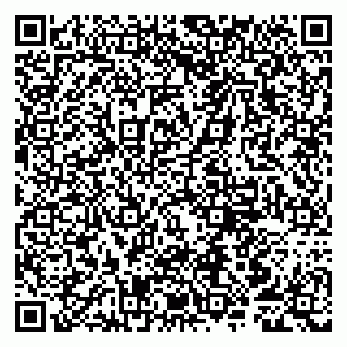 vCard 79807250304