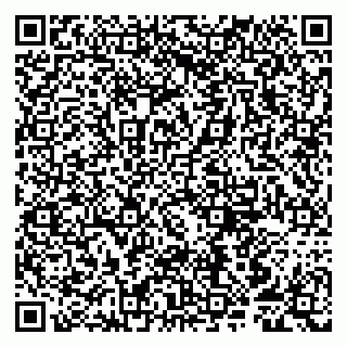 vCard 79807250305