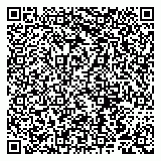 vCard 79807250313