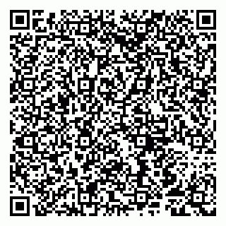 vCard 79807250321