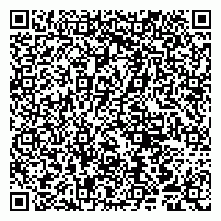 vCard 79807250329