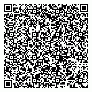 vCard 79807250331