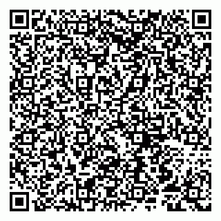 vCard 79807250379