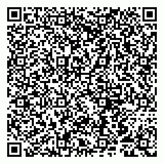 vCard 79807250380