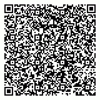 vCard 79807250381