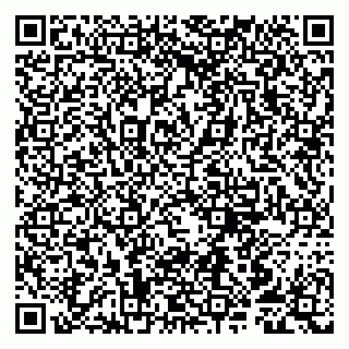 vCard 79807250385