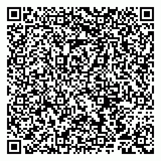 vCard 79807250387
