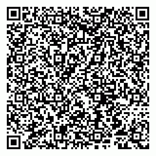 vCard 79807250395