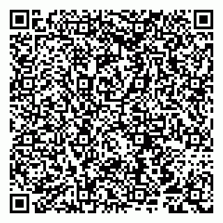 vCard 79807250411