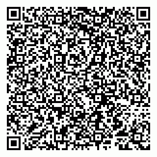 vCard 79807250413