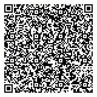 vCard 79807250497