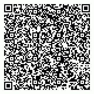 vCard 79807250521