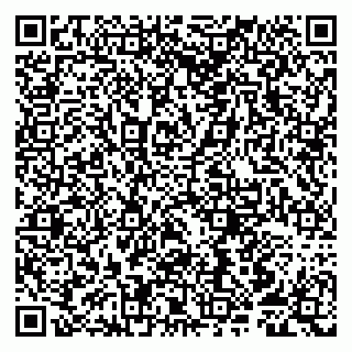 vCard 79807250529