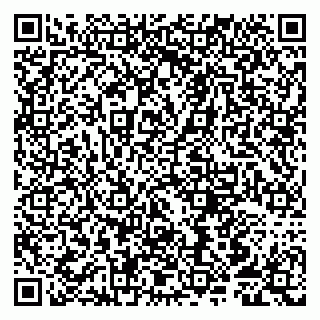 vCard 79807250537