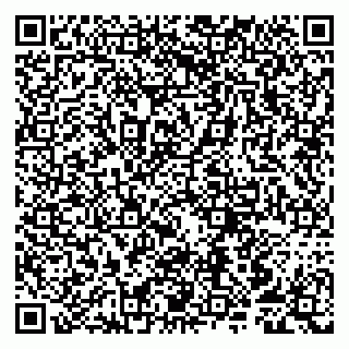 vCard 79807250604