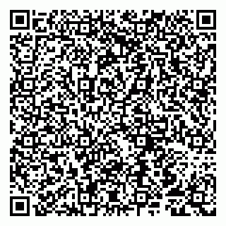 vCard 79807250633