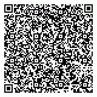 vCard 79807250635