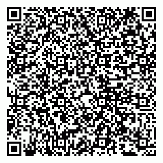 vCard 79807250654
