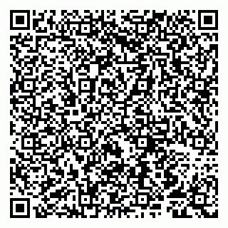 vCard 79807250667