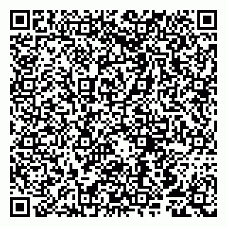 vCard 79807250685