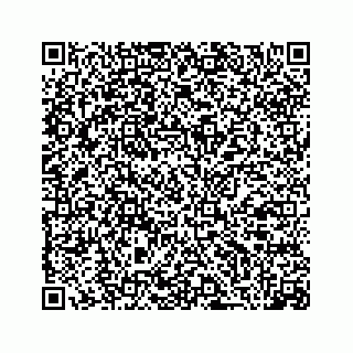 vCard 79807250704