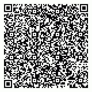 vCard 79807250711